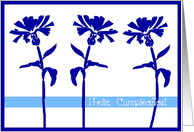 feliz cumpleanos floral spanish birthday card