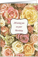 Missing you on your birthday, elegant roses, lace effect card