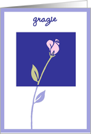 grazie rose azur card