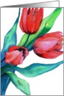 three red tulips card