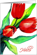 three red tulips...