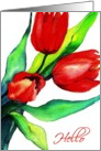 three red tulips hello card