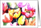 tulips blank card