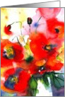 poppies blank card