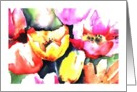 bright tulips birthday card