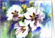 three white flowers card