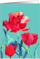 red tulips on green background, birthday card, card