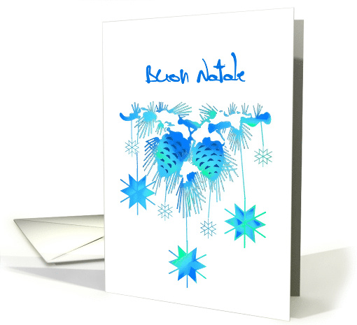 Merry Christmas in Italian, Stars, Snowflakes, Buon Natale card