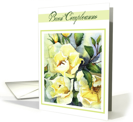 buon compleanno white roses card (272638)