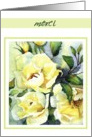merci white roses card