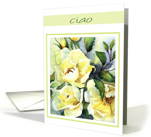 hello ciao white roses card (272752)