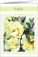 hello hola white roses card