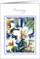 I am sorry, White Lilies, Watercolor Painting card