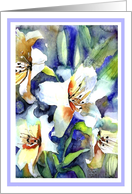 birthday white lilies painting card