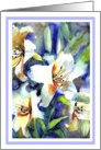 birthday white lilies painting card