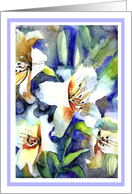 blank white lilies painting card