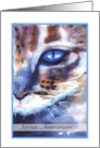 Joyeux anniversaire watercolor cat blue eye card