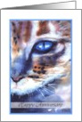 happy anniversary watercolor cat blue eye card