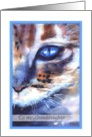 happy birthday granddaughter watercolor cat blue eye card