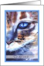 happy birthday uncle watercolor cat blue eye card