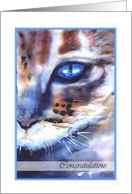 congratulations watercolor cat blue eye card