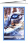 ciao watercolor cat blue eye card