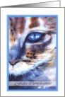 feliz cumpleanos watercolor cat blue eye card