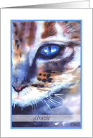 grazie watercolor cat blue eye card