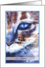 lo siento watercolor cat blue eye card