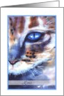merci watercolor cat blue eye card
