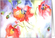 poppies swaying in the wind card