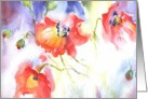 poppies swaying in the wind card