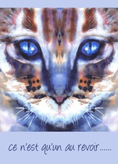 ce n'est qu'un au revoir....chat