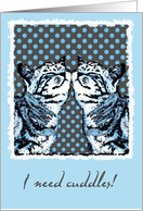 i need cuddles cats card