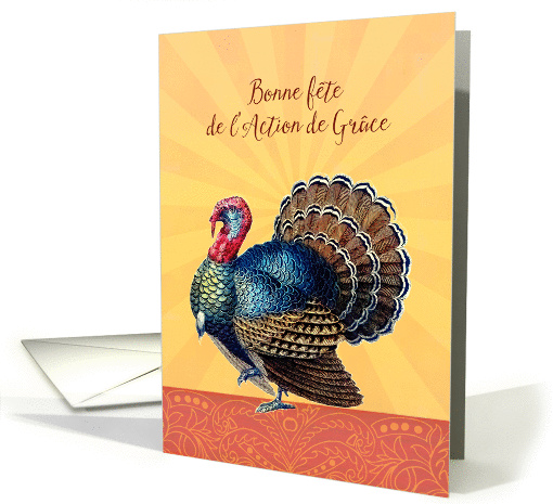 Bonne Fte de l'Action de Grce, Happy Thanksgiving in French card