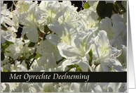 met oprechte deelneming rhododendron card