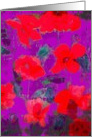red poppies on purple card