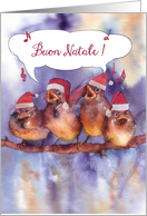 buon natale, Merry Christmas in Italian, singing sparrows card
