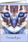 I missed you blue eyed cat card