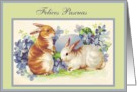 felices Pascuas Vintage Bunnies card