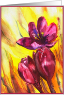 crocus card