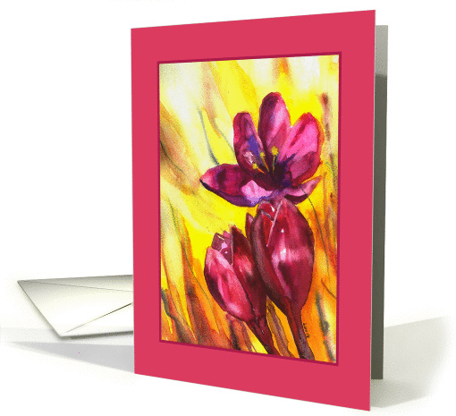crocus card (364011)