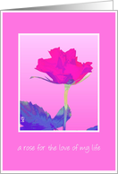 a rose for the love of my life pink card