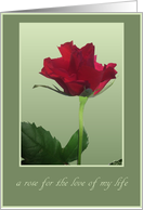 a rose for the love of my life green card