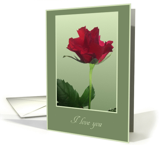 red rose I love you card (373454)