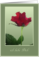 ich liebe dich I love you red rose card