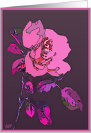 pink rose blanc card