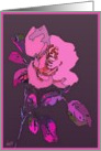 pink rose blanc card