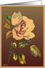 cream rose blanc card