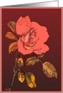 red rose blanc card